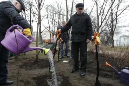 Более 110 тыс. деревьев и кустарников высадят в парках и дворах Петербурга