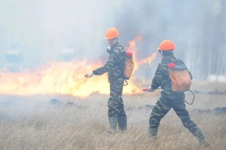 Синоптики прогнозируют похолодание и дожди в охваченной природными пожарами Восточной Сибири