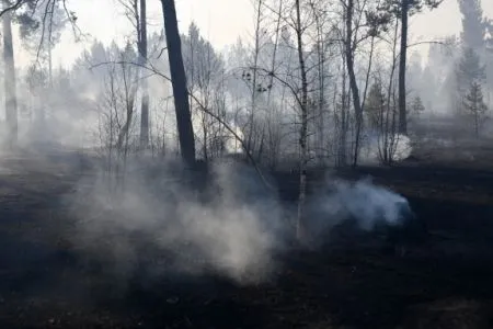 Пожары охватили 150 тыс. га в РФ, паводок отмечен в 26 регионах на минувшей неделе