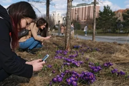 Погода на Камчатке побила рекорд тепла 35-летней давности