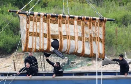 Вторую партию косаток из "китовой тюрьмы" отправили к месту выпуска