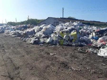 Два административных дела возбуждены из-за нелегальной свалки под Ульяновском