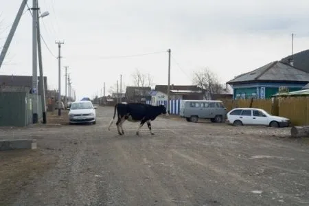 Вода ушла из всех подтопленных жилых домов в Хабаровском крае