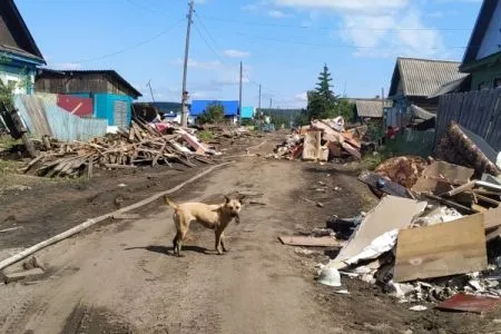 Мутко ждет от властей Иркутской области план восстановления жилья до 10 августа