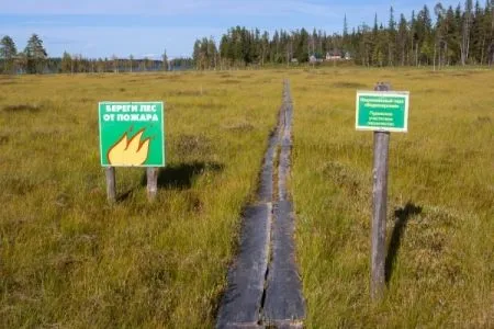 Особый противопожарный режим ввели на севере Камчатки