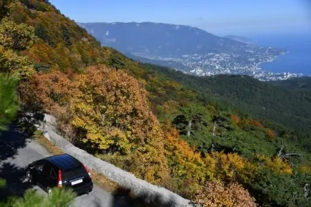 Завершена первая инвентаризация лесов Крыма