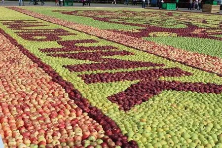 Гигантское панно из яблок выложили на гастрономическом фестивале в Нальчике