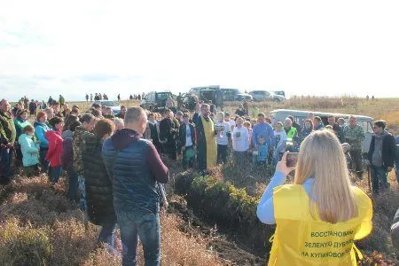 В память о павших воинах на Куликовом поле высажено 6 тыс. молодых дубов