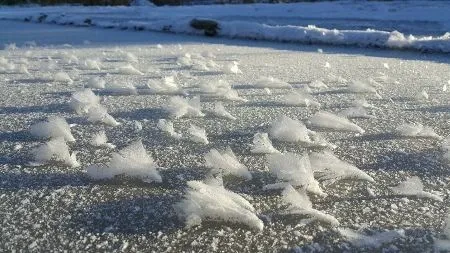 Ледяные цветы расцвели на водоеме в Кировской области