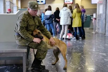 Россияне смогут вернуться из Китая через пункт пропуска Краскино в Приморье