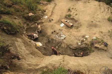 В СПбГУ покажут фотографии динозавров вечный мерзлоты