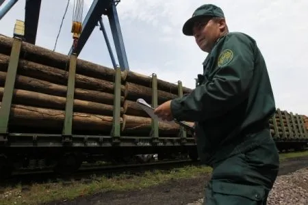 РЖД планируют создать логистический узел под Нижним Тагилом с ориентиром на лесные грузы