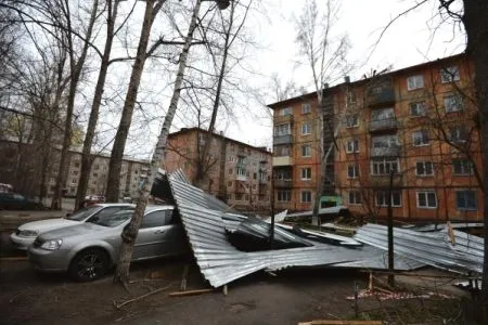 В Москве в пятницу ожидается ветер порывами до 19-24 м/с