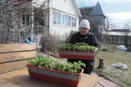 Власти Карелии разрешили жителям дойти до парковки и выезжать на дачи