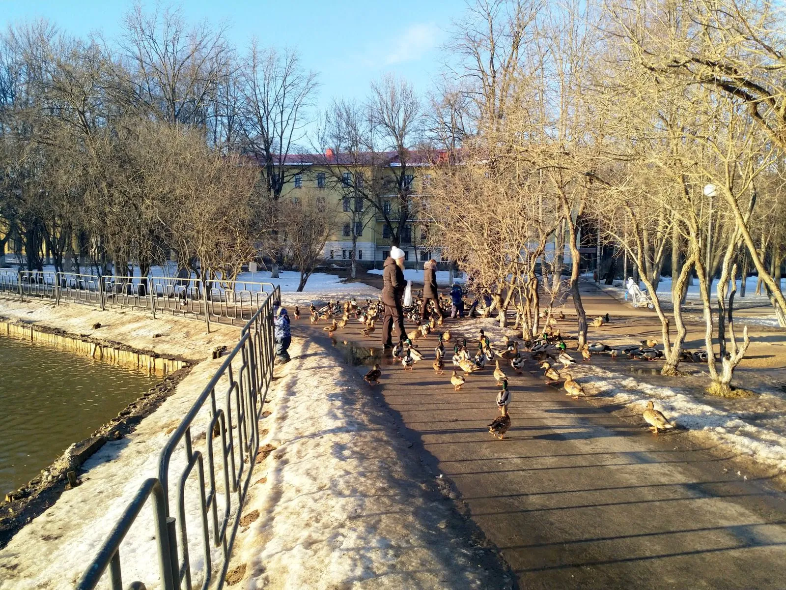 Достоевский и лечебные грязи в Старой Руссе