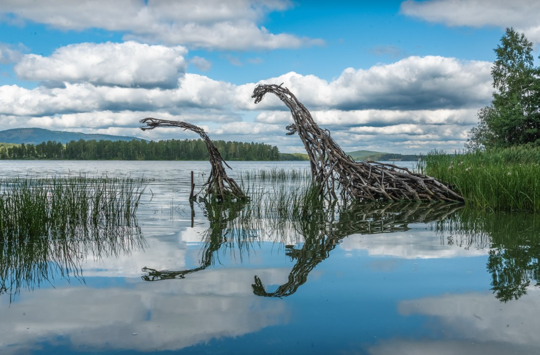 Челябинская область