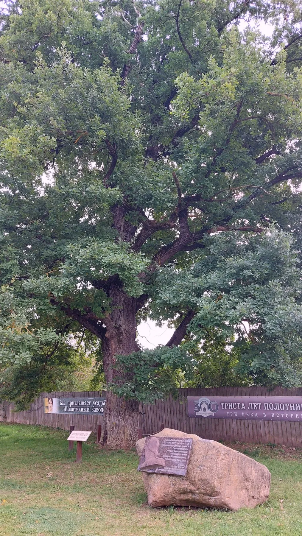 Пьяные пряники, космические корабли и расписные барыни в Калужской области