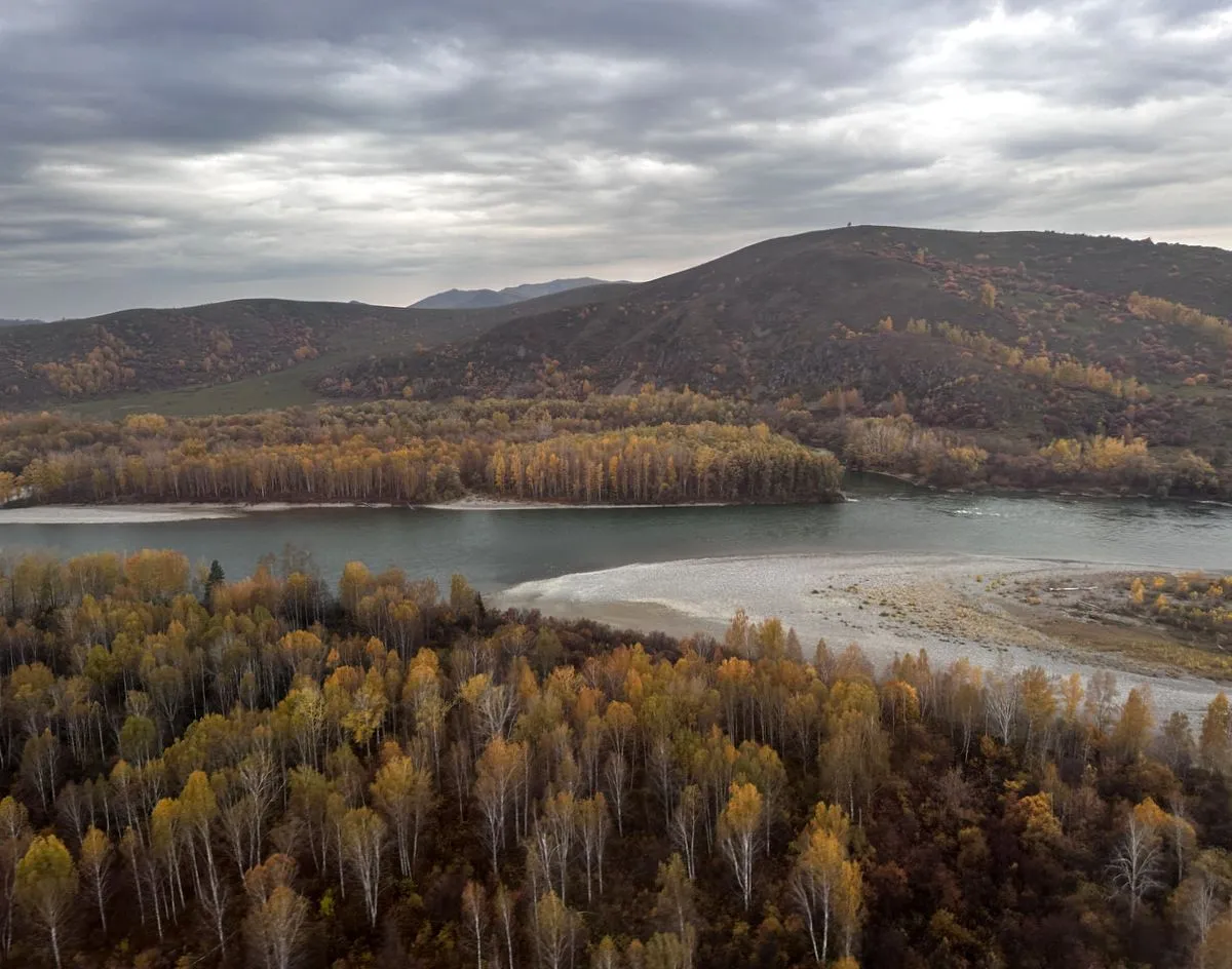 Осенняя палитра Горного Алтая: желто-красные леса и бирюзовая Катунь