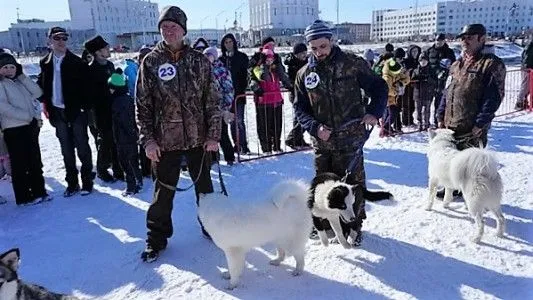 Гонки на собачьих упряжках в рамках этнофестиваля "Дзялбу" впервые прошли в Магадане