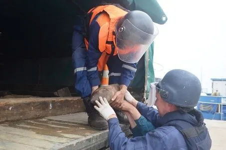 Священник нашел снаряды возле монастыря в Севастополе