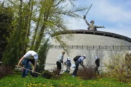 Волгоградские энергетики высадили клены на Мамаевом кургане