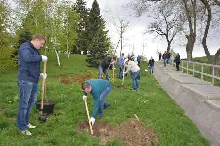 Волгоградские энергетики высадили клены на Мамаевом кургане