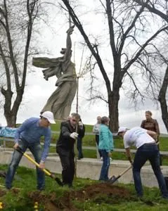 Волгоградские энергетики высадили клены на Мамаевом кургане