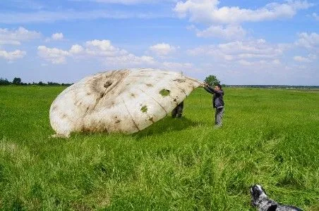 Поисковики в Германии ищут родственников летчика-барона, погибшего в небе Кубани в 1943 году