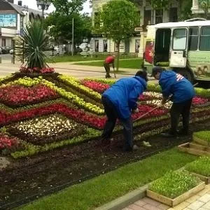 Множество цветов высажено в центре города