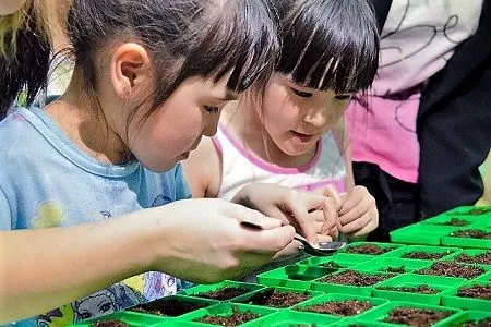 Школьники в отдаленном колымском селе бросают вызов вечной мерзлоте и сажают помидоры