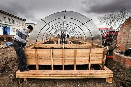 Школьники в отдаленном колымском селе бросают вызов вечной мерзлоте и сажают помидоры