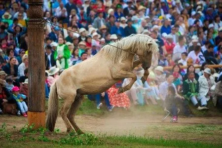 Национальный праздник Якутии Ысыах Туймаады посетило свыше 180 тыс. человек