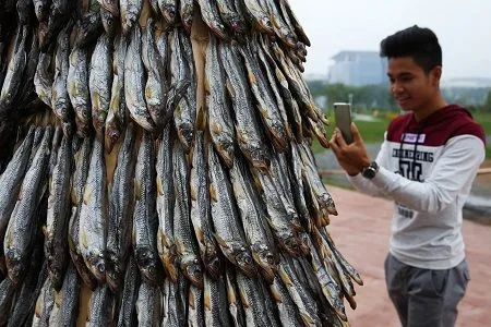 Дерево из сахалинской корюшки на "Улице Дальнего Востока" ВЭФ разобрали в считанные минуты