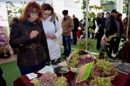 Гости праздника приняли участие в выборе лучшего молодого вина выставки