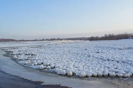 Несколько километров Обской губы на Ямале оказались усеяны большими снежными шарами