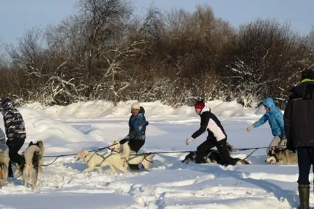 Праздник "Алтайская зимовка" в Алтайском крае посетили более 10 тыс. зрителей