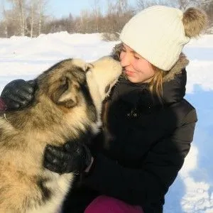 Праздник "Алтайская зимовка" в Алтайском крае посетили более 10 тыс. зрителей