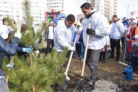 Почти 50 тыс. жителей Ярославля вышли на общегородской субботник