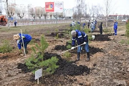 Почти 50 тыс. жителей Ярославля вышли на общегородской субботник