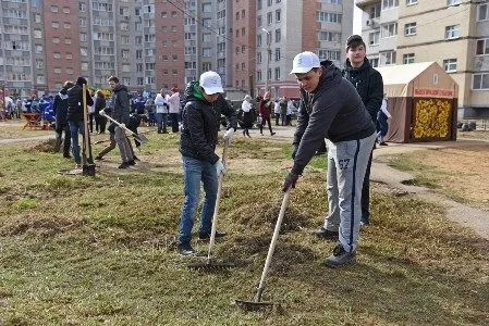 Почти 50 тыс. жителей Ярославля вышли на общегородской субботник