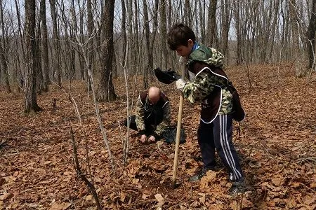 Волонтеры посадили тысячи кедров в приморском нацпарке "Земля леопарда"