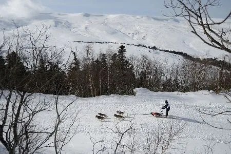 Фото Егора Сергеева