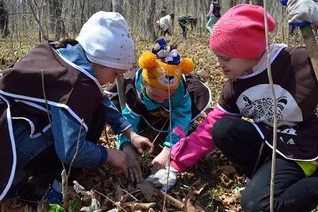 Волонтеры высадили шесть тысяч саженцев кедра в приморском нацпарке "Земля леопарда"