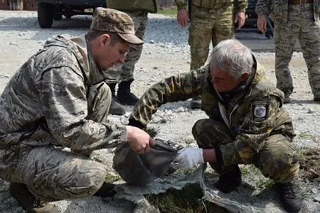 Волонтеры высадили шесть тысяч саженцев кедра в приморском нацпарке "Земля леопарда"