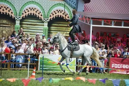 Лучшую кобылу и жеребца выбрали на  шоу арабских лошадей на Ставрополье