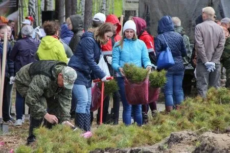 Около 300 тыс. сеянцев сосны посадят в Тюменской области в рамках акции по восстановлению лесов