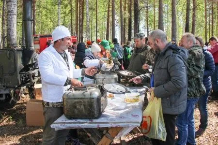 Около 300 тыс. сеянцев сосны посадят в Тюменской области в рамках акции по восстановлению лесов