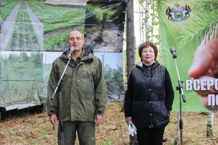 Около 300 тыс. сеянцев сосны посадят в Тюменской области в рамках акции по восстановлению лесов