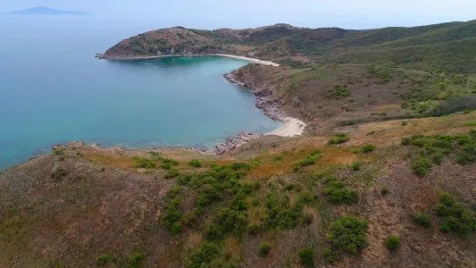 Ученые Дальневосточного морского заповедника впервые проводят учет гнездящихся птиц с помощью беспилотников