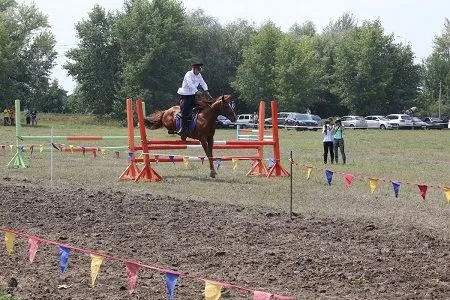 Конноспортивный праздник, посвященный 266-й годовщине со дня рождения атамана Платова, прошел в Ростовской области